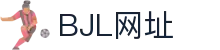 BJL平台(中国区)官网